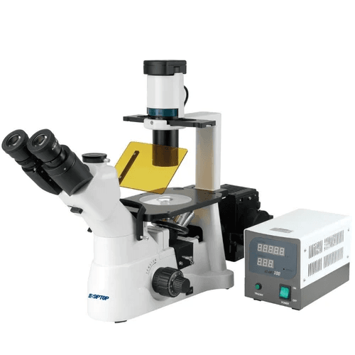 Fluorescence Microscope Inverted