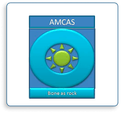 AMCAS